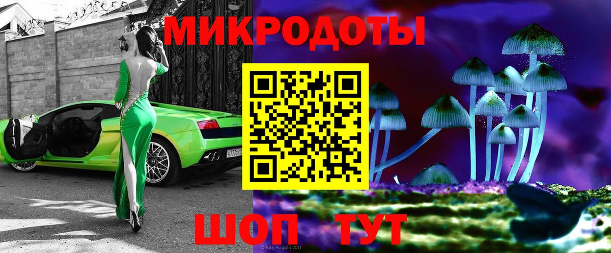 Реж  Псилоцибиновые грибы прущие грибы  Вход с VPN 
